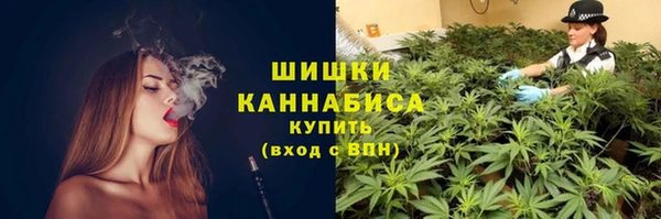 шишки Богородицк
