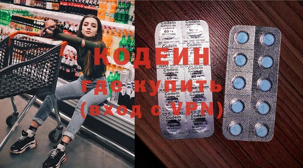 шишки Богородицк