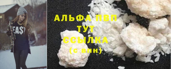 шишки Богородицк