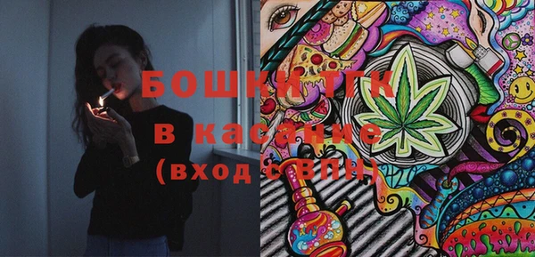 шишки Богородицк