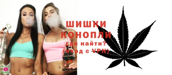прущие грибы Богородск
