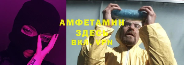 шишки Богородицк