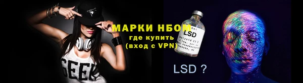 шишки Богородицк
