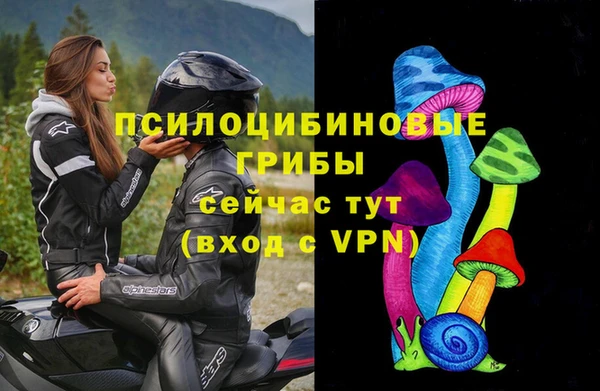 наркотики Богданович