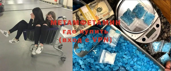 прущие грибы Богородск