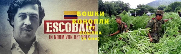 шишки Богородицк