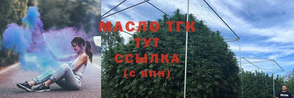 шишки Богородицк