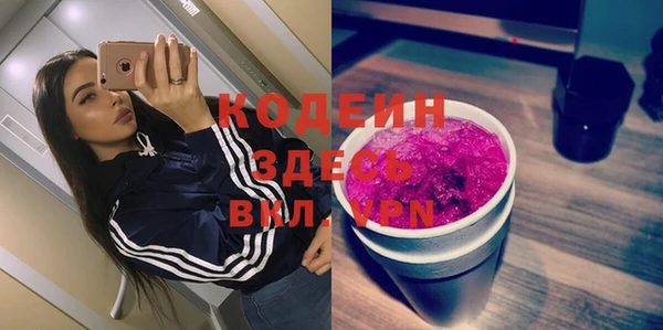 шишки Богородицк
