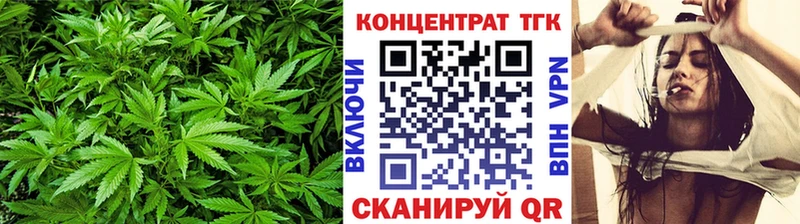 Купить где  Михайловка  Дистиллят ТГК Wax 