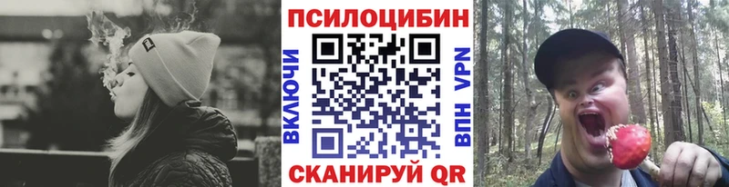 Галлюциногенные грибы Psilocybe  Купить  Михайловка 